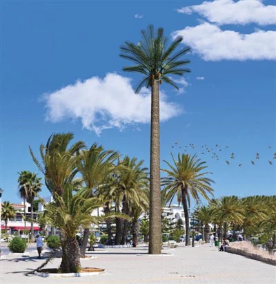 Torre monopolo com paisagem de árvore Bônica camuflada